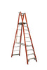 10 Step Platform Ladder